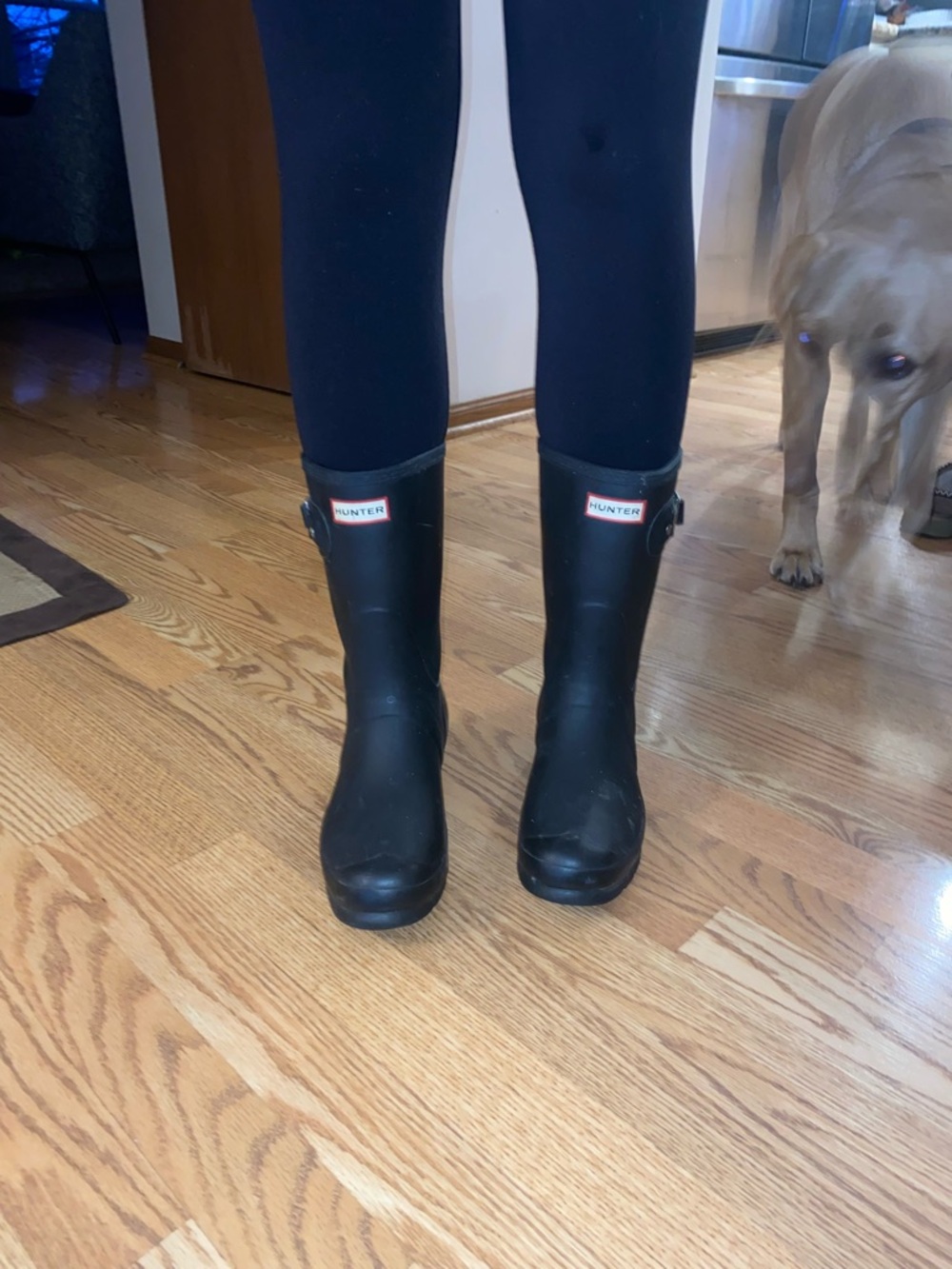 Hunter Black Mid-Calf Rain Boots with Adjustable Side Buckle